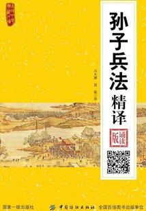 神奇宝贝之雷炎